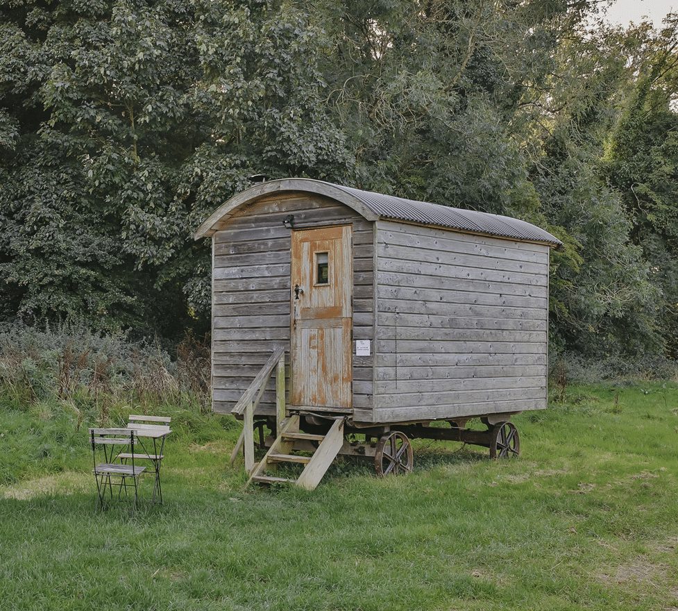 Shepherds Hut — Pine