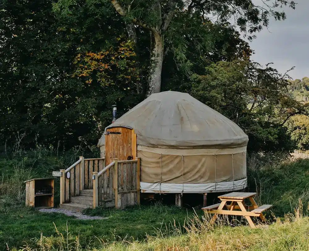 Yurt — Ash